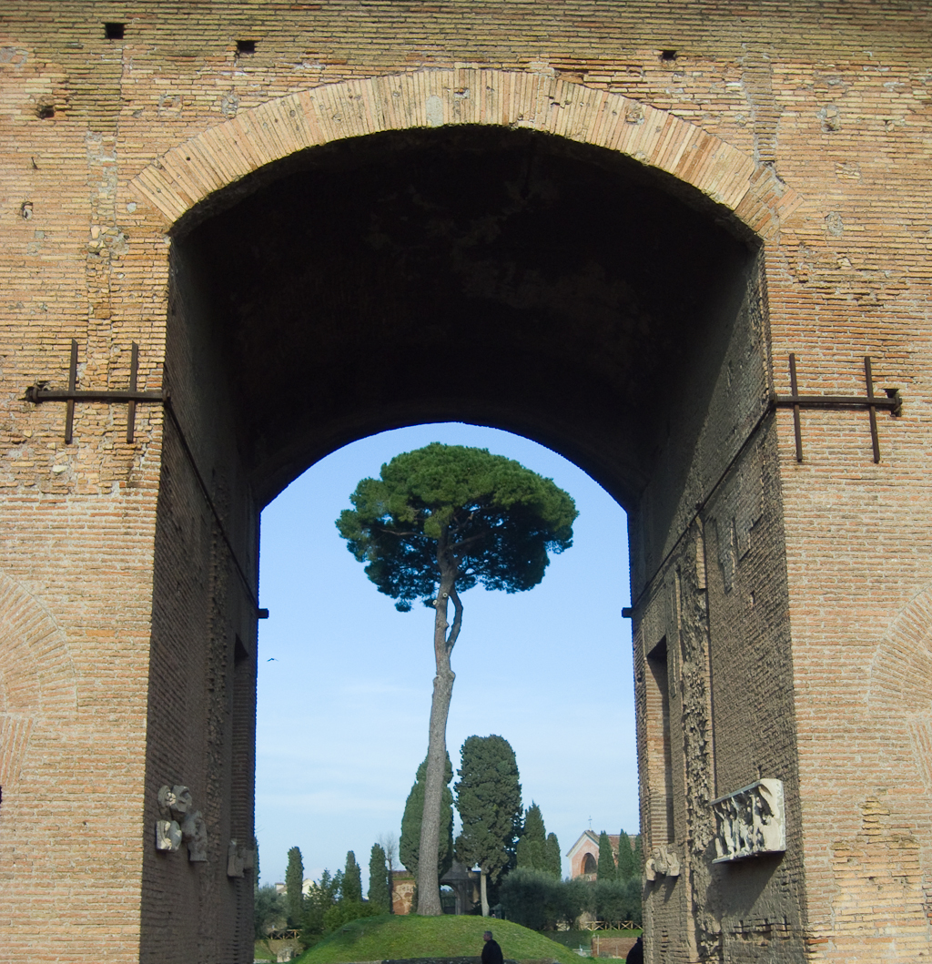 Rome 2010 (154 of 267)