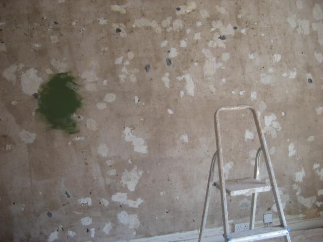 Plastering Day 1 - back wall prep