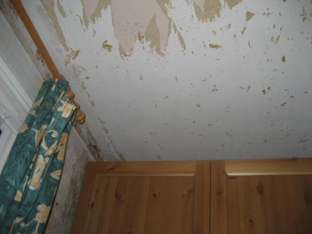 Stripping the ceiling.  The ceiling was replastered, then painted with WHITE GLOSS, then covered in waterproof PINK WOODCHIP.