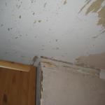 More ceiling stripping
