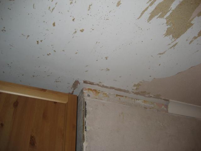 More ceiling stripping