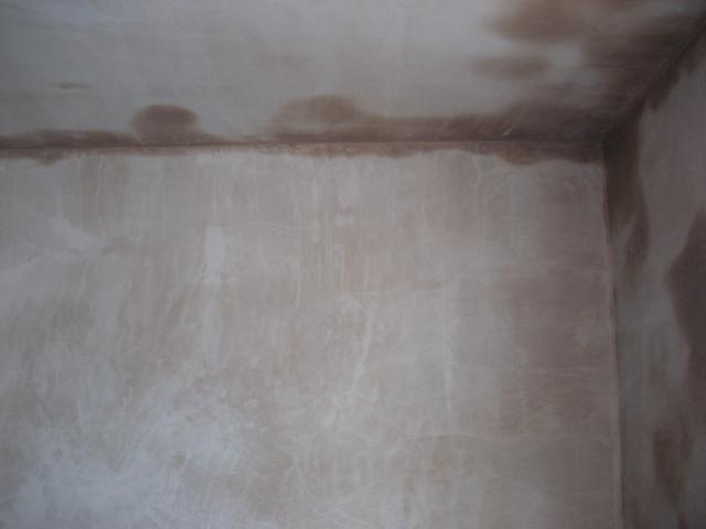 Plastering Day 2 - back wall done
